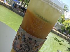 霸气橙子-奈雪的茶(大梅沙8号仓店)
