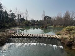 -桤木河湿地公园