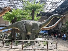 -国家自然博物馆