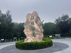 -绿堤公园