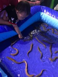 -酷嗒动物文化乐园(cutezoo西溪乐天城店)