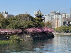 -望江楼公园