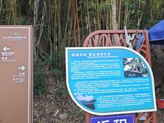 -霸王岭国家森林公园