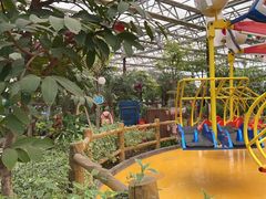 -南宫五洲植物乐园