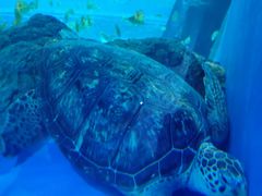 -成都浩海立方海洋公园