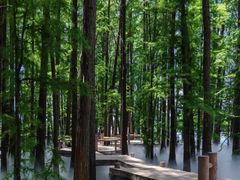 -东湖落雁景区