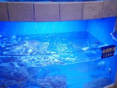 -大榭国际大酒店-中餐厅