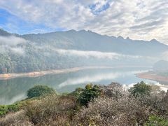 -广州市流溪河国家森林公园