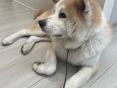 -YCHL Studios健身工作室(市二宫店)