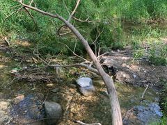 -碓臼峪自然风景区