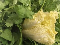-草原传奇鲜羊火锅(桥北店)