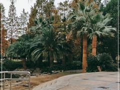 -苏州河梦清园环保主题公园