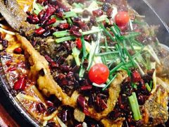 -老板恋上鱼(恒隆广场店)