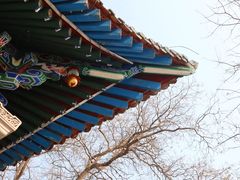 -白塔山公园