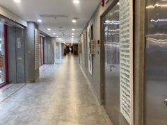 -中国宋庆龄青少年科技文化交流中心