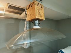 -金蚁康•经络调理•肩颈按摩(万达金街店)