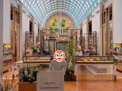 -Colony(新加坡丽思卡尔顿美年酒店)