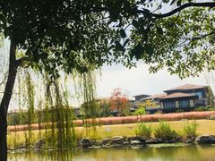-阳澄湖半岛旅游度假区