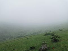 -大姆山草场