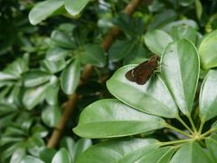 android_upload_pic-西涌国际滨海旅游区