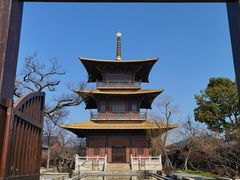 -广富林郊野公园