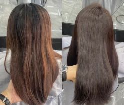 -豪斯塔美发连锁