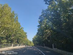 -龙口南山旅游景区