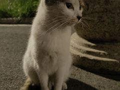 -西南交通大学-詹天佑体育馆