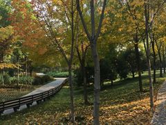 -北极寺公园