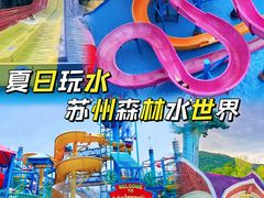 -苏州乐园森林水世界