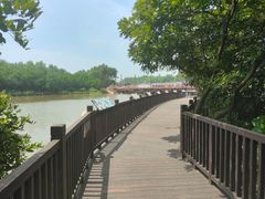 -大湾区中央湿地公园