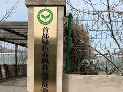 -大自然农场蔬菜草莓采摘园