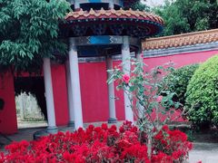 -亚龙湾国际玫瑰谷