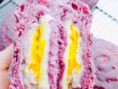 -咖咖熊蛋糕定制·蓝风车动物奶油