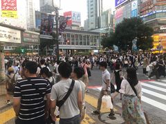 -涩谷区