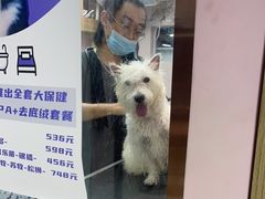 -FAELING PETS美天灵宠物(富力广场店)