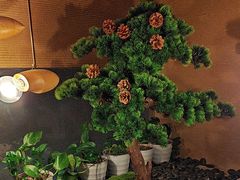 -千代武日本料理(爱建店)