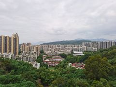 -福道