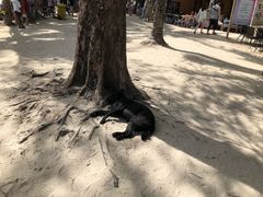 -Epic Boracay