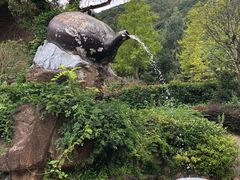 -东海大峡谷