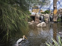 -芽庄珍珠岛游乐园