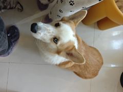 -平行世界·猫咖(首经贸店)