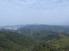 -大屏嶂森林公园