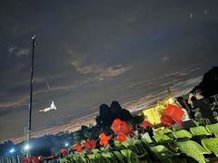 -南宁花花大世界景区