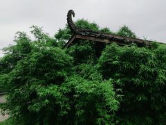 -横沥牛庄(总店)