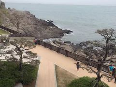 -海云台海滩