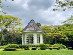-新加坡植物园