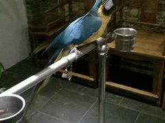 android_upload_pic-那家小馆•北京菜•烤鸭(中关村店)