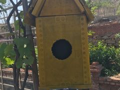 -小仙居·农家宴烤羊· 农庄