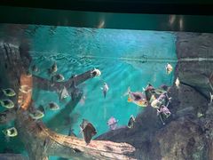 -常州海昌海洋探索馆